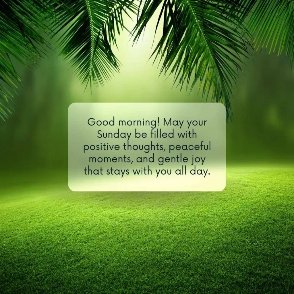 Sunday Morning Wishes