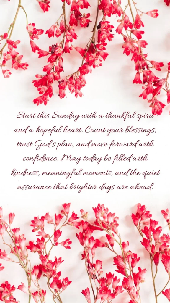 Sunday Blessings Images: May this Sunday fill your heart with peace and joy. Trust God’s presence to guide you and bless your day abundantly.