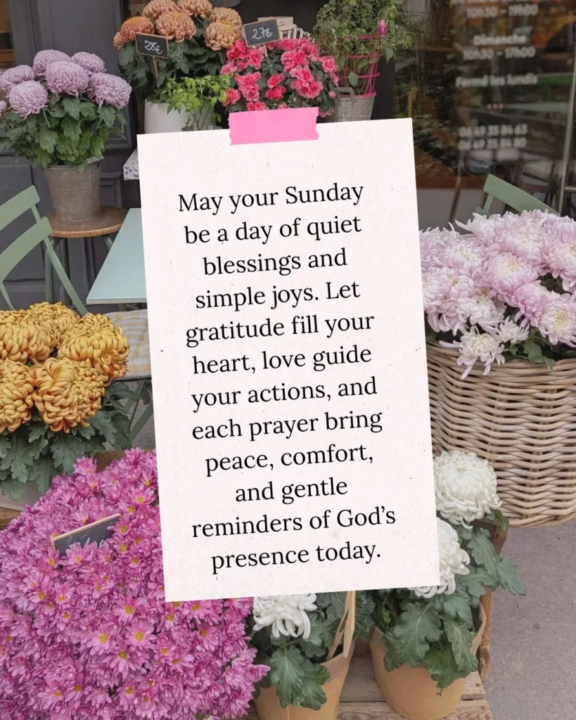 Sunday Blessings Images with Prayers Start Sunday with faith and gratitude. May gentle moments, hope-filled heart, and God’s blessings lift your soul in every meaningful way today.
