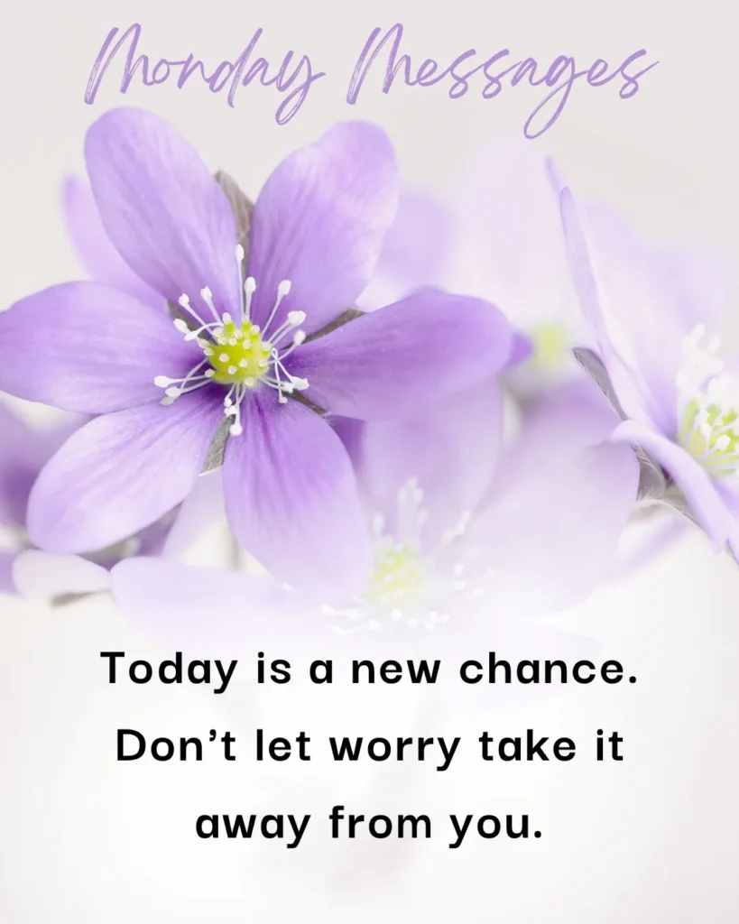 Inspirational floral quote image with purple flowers and the message “Today is a new chance. Don’t let worry take it away from you.”