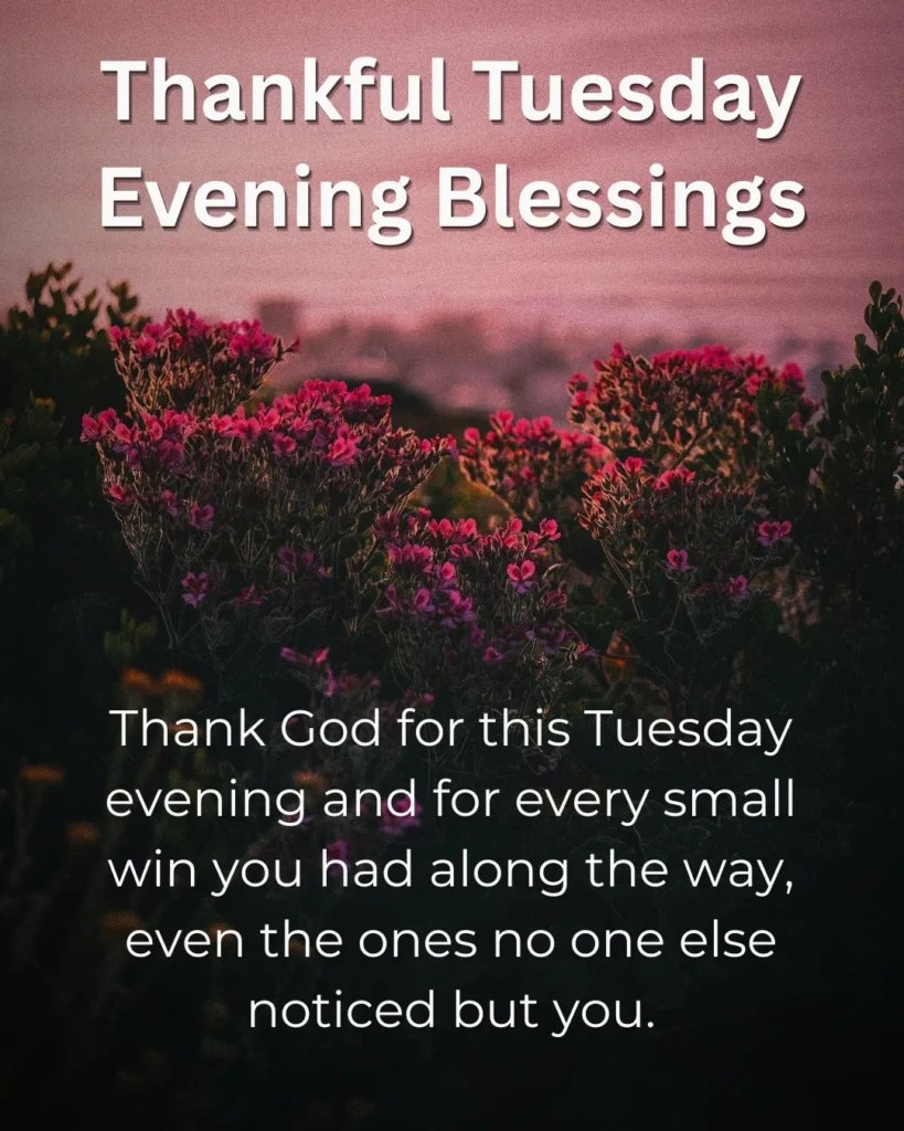Thankful Tuesday evening blessings image with beautiful sunset flowers and a Christian prayer of gratitude, peace, hope, and God's faithfulness.
