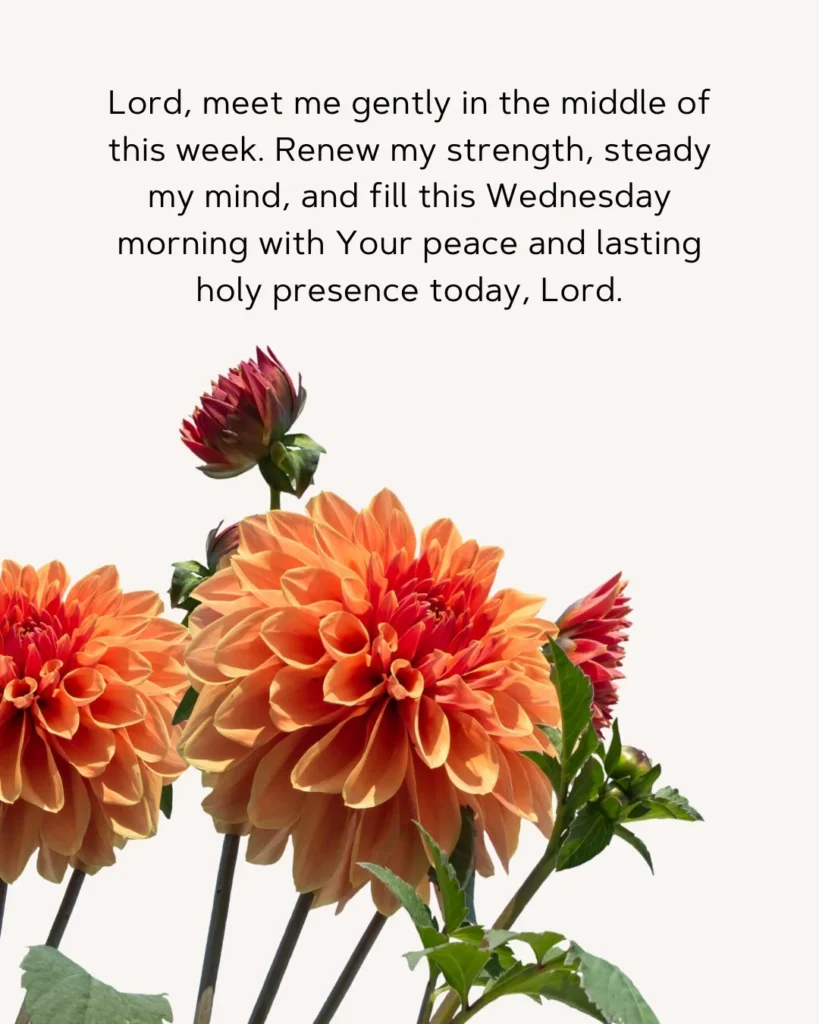 Wednesday morning prayer image asking God to renew strength, calm the mind, fill the heart with peace, and remain present throughout the day.
